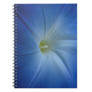 Heavenly Blue Morning Glory Flower Photo Notebook