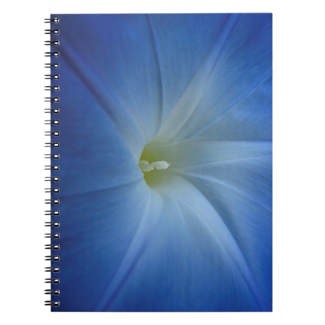 Heavenly Blue Morning Glory Flower Photo Notebook (Front)