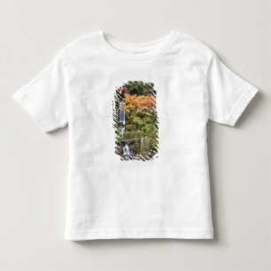 Heavenly Falls and autumn colours Toddler T-Shirt