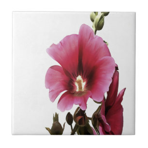 Heavenly Pink Hollyhock Malva Flower Floral Ceramic Tile