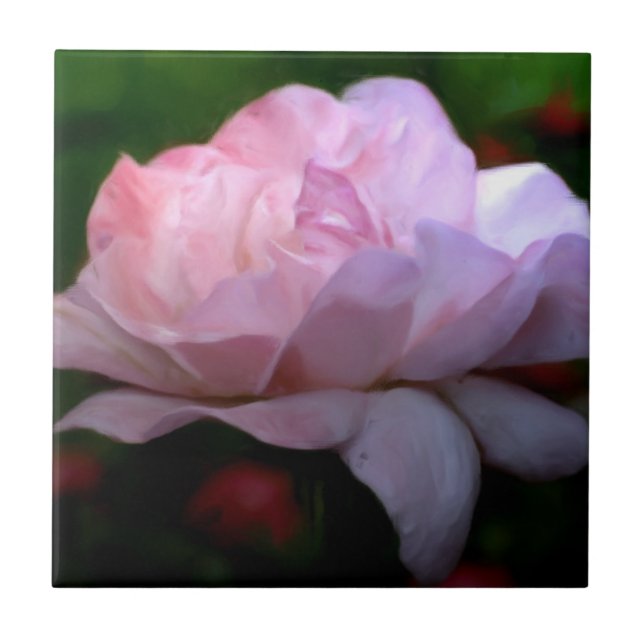 Heavenly Pink Rose Floral Art Ceramic Tile (Front)