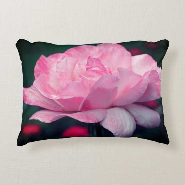 Heavenly Pink Rose Flower   Decorative Cushion (Front)