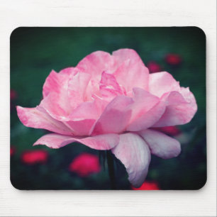 Heavenly Pink Rose Flower Mouse Pad