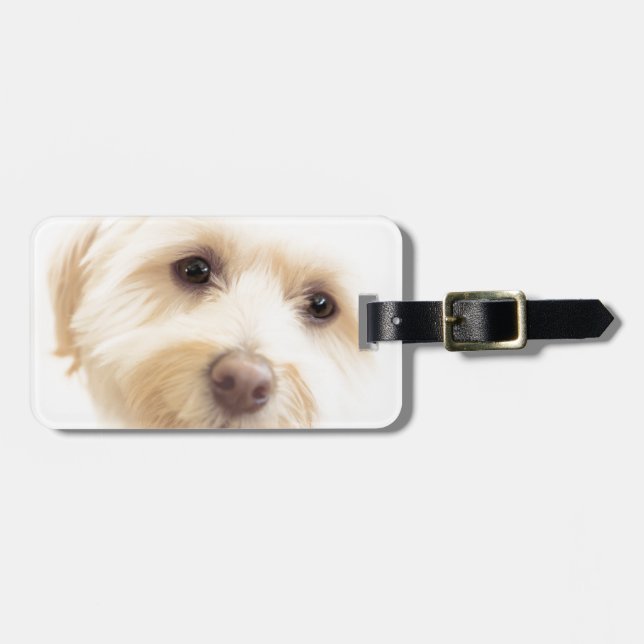 Heavenly Pup Luggage Tag (Front Horizontal)