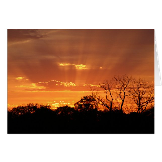 "heavenly sunset" by Larry Coressel (Front Horizontal)