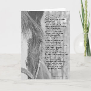 HEAVENS BEST mare Greeting Card