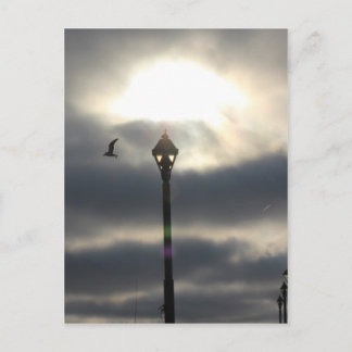 Heaven's  Door Postcard