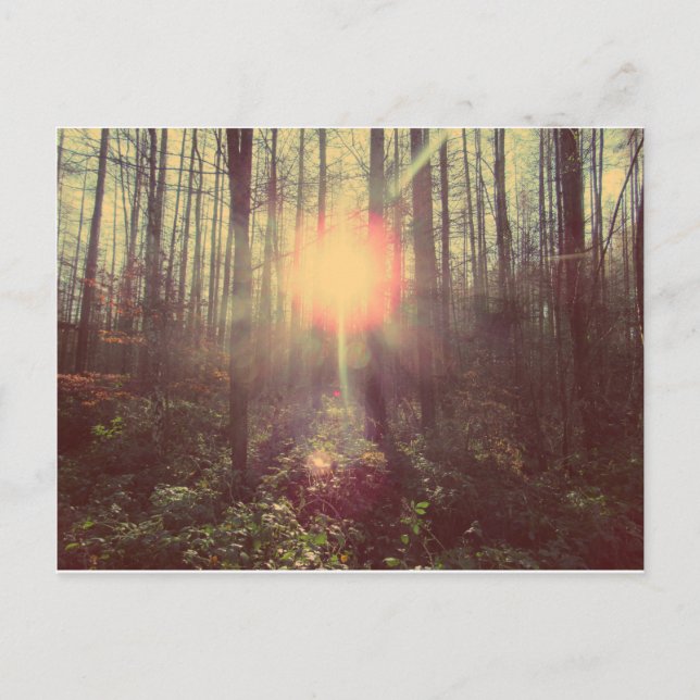 Heaven's Light Postcard (Front)