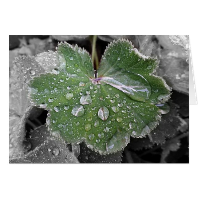 heavy rain (Front Horizontal)