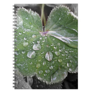 heavy rain notebook