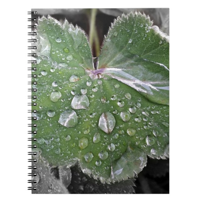 heavy rain notebook (Front)