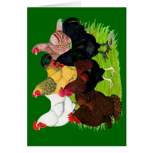 Heavy Rooster Assortment (Front)