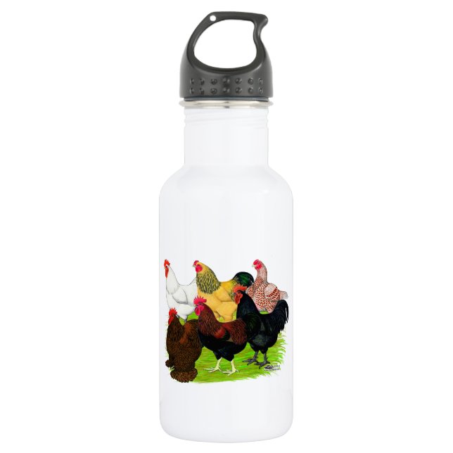 Heavy Rooster Assortment 532 Ml Water Bottle (Front)
