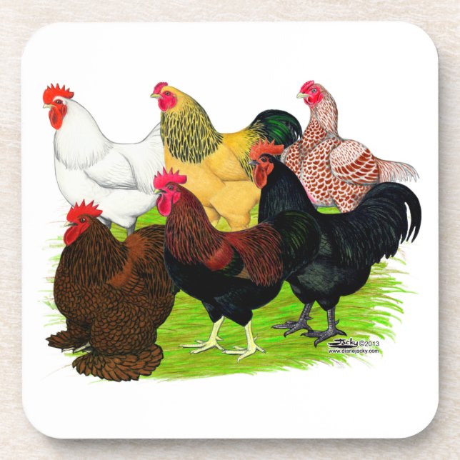 Heavy Rooster Assortment Coaster (Front)