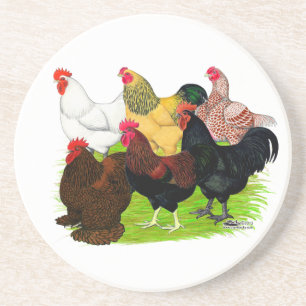 Heavy Rooster Assortment Coaster