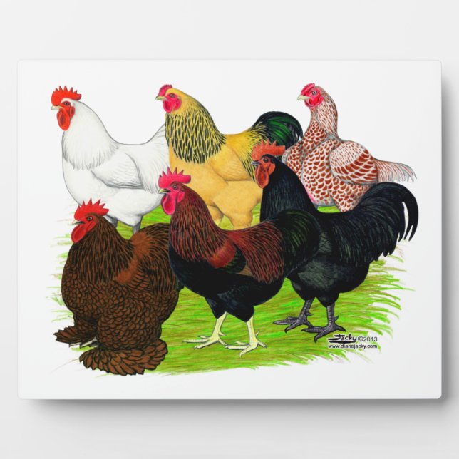 Heavy Rooster Assortment Plaque (Front)