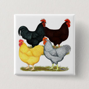 Heavy Rooster Chicken Quartet 15 Cm Square Badge