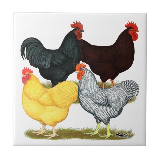 Heavy Rooster Chicken Quartet Ceramic Tile (Front)