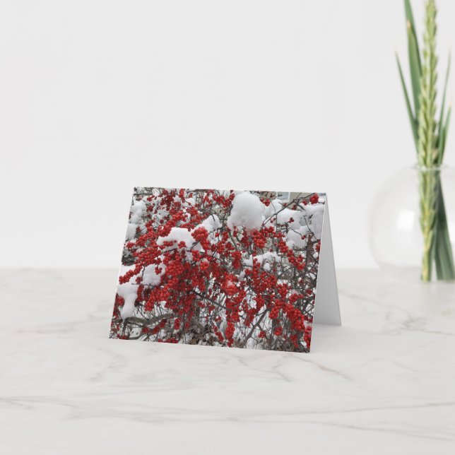 Heavy Snow on Red Berries Note Card (Front)
