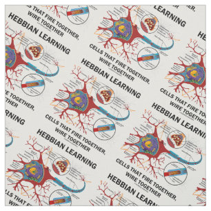 Hebbian Learning Cells Fire Together Wire Together Fabric