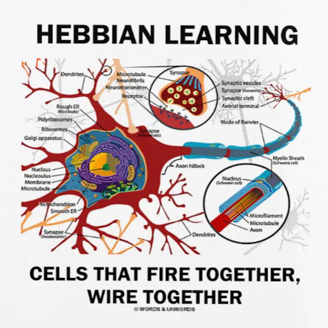 Hebbian Learning Cells Fire Together Wire Together Planner (Showcase your neuropsychological Hebbian learner side with this planner featuring a neuron/synapse)