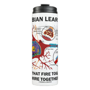 Hebbian Learning Cells Fire Together Wire Together Thermal Tumbler