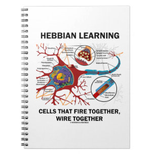 Hebbian Learning Cells That Fire Together Wire Notebook