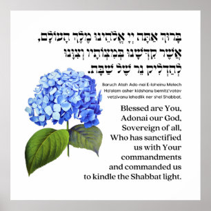 Hebrew Blessing for Shabbat Candles Hydrangea Poster