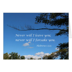 Hebrews 13:5 Never will I leave you