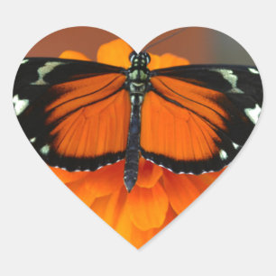 Hecale Longwing Butterfly Heart Sticker