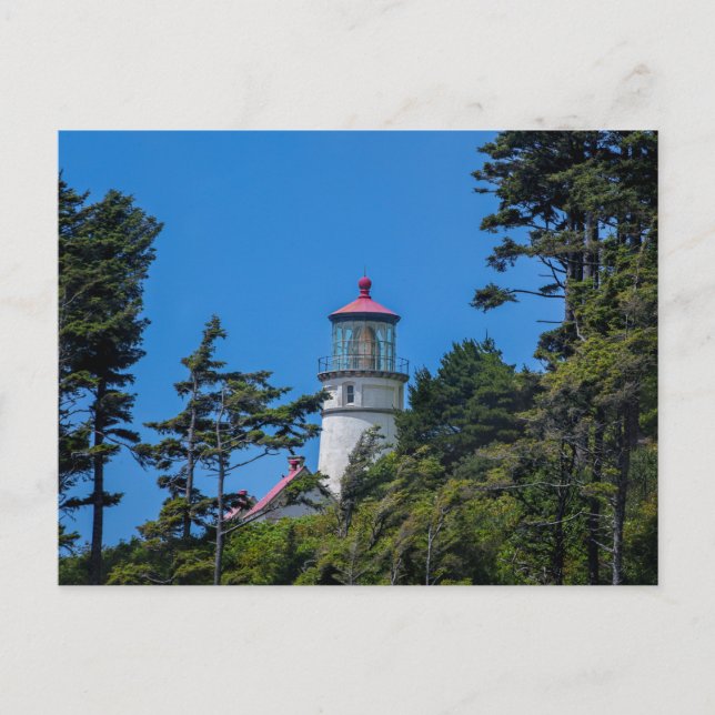 Heceta Head Lighthouse | Oregon Coast | Postcard (Front)