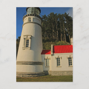 Heceta Head Restored Postcard