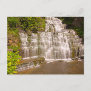 Hector Falls, New York Postcard