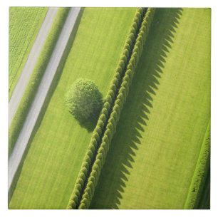 Hedge in The Hamptons Ceramic Tile