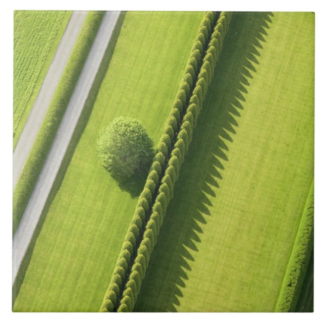 Hedge in The Hamptons Ceramic Tile (Front)