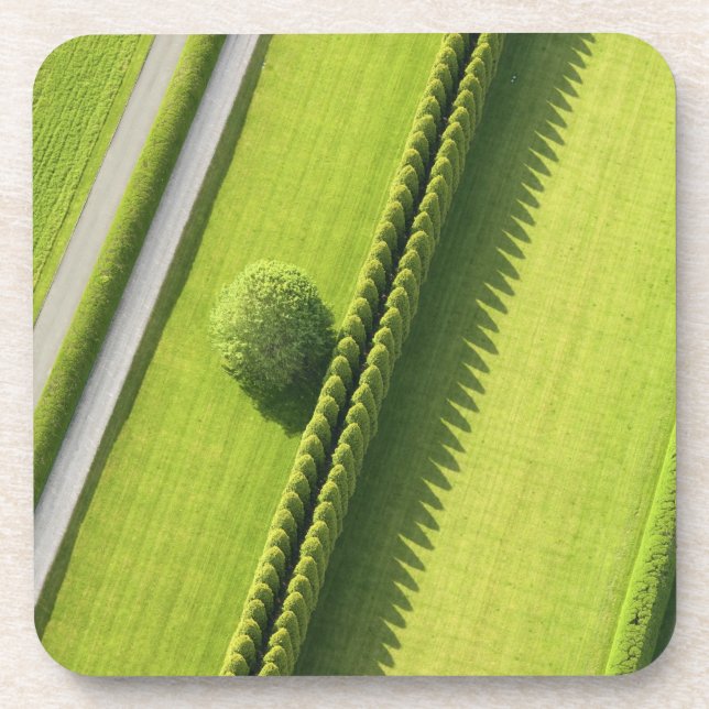 Hedge in The Hamptons Coaster (Front)