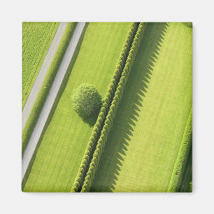 Hedge in The Hamptons Magnet