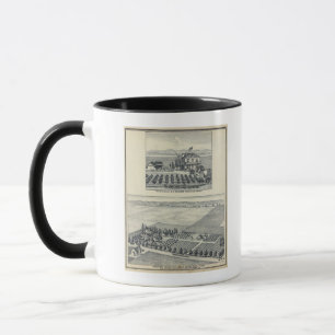 Hedge Row Vineyard, Fresno Mug