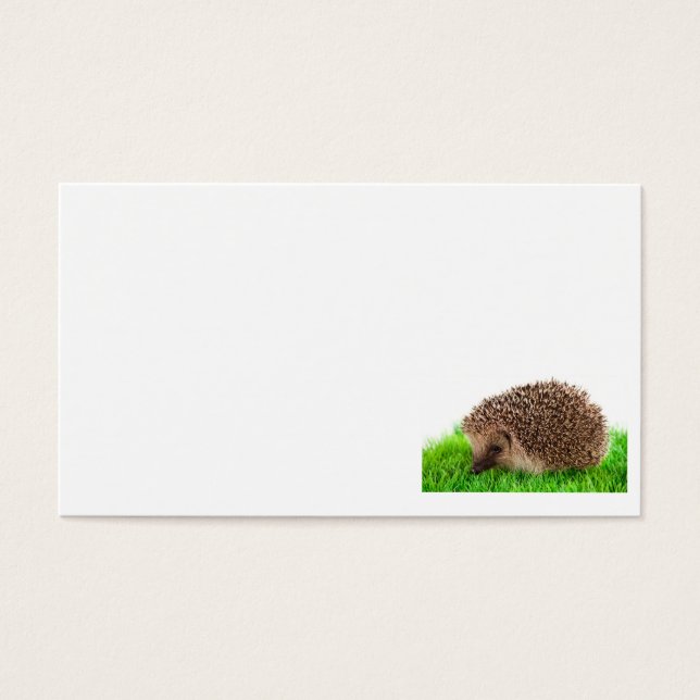 hedgehog (Front)