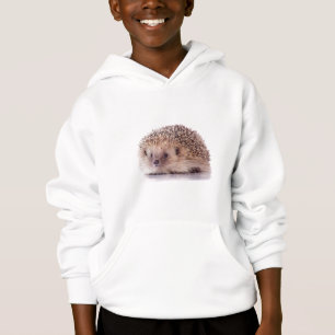 Hedgehog,