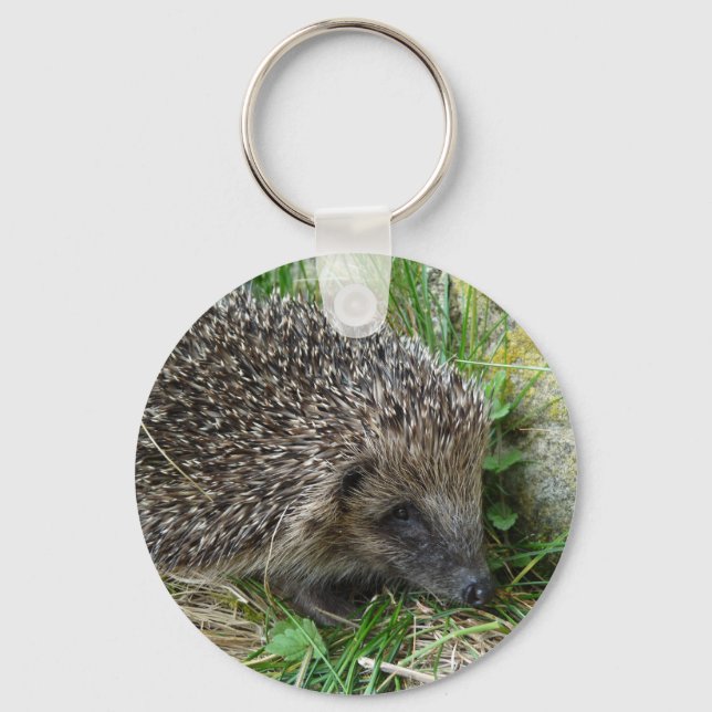 Hedgehog 1 keychain (Front)