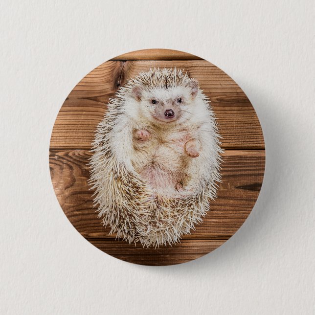 Hedgehog 6 Cm Round Badge (Front)