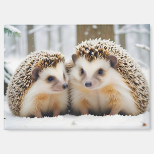 Hedgehog Animal Nature Wildlife Affection Caring Magnet