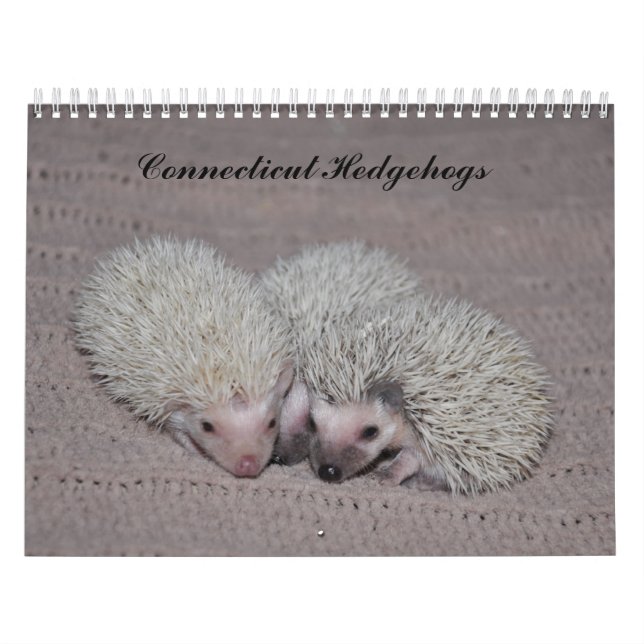 Hedgehog babies calendar (Cover)
