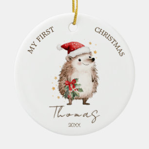 Hedgehog Baby 1st Christmas Photo Ornament