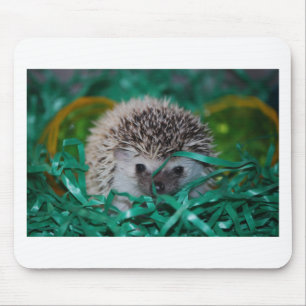 Hedgehog Baby in Easter Grass Mouse Pad