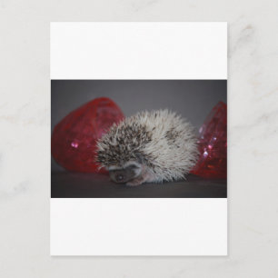 Hedgehog Baby with Easter Egg Holiday Postcard