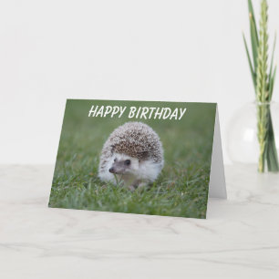 hedgehog birthday card