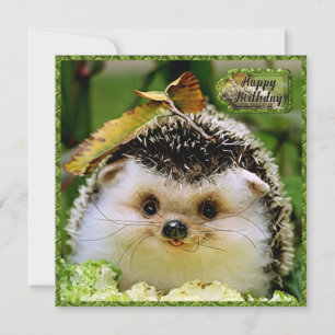 Hedgehog Birthday Card