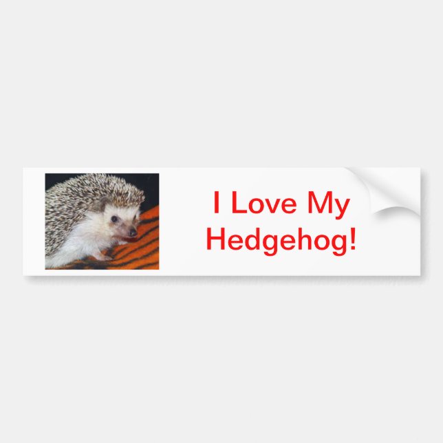 Hedgehog Bumper Sticker (Front)